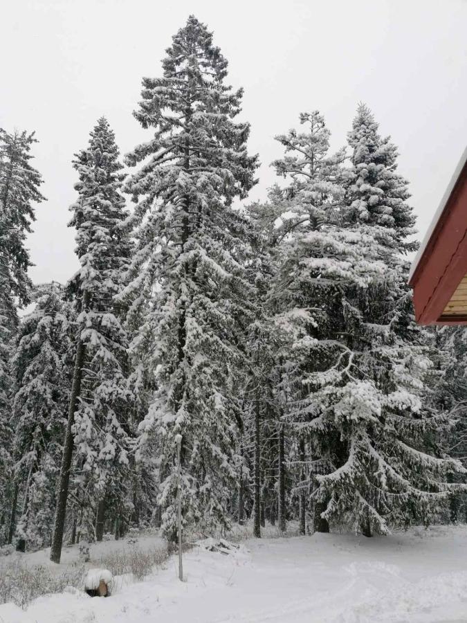 Elina Hotel Pamporovo Exterior photo
